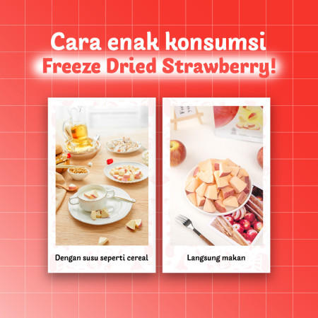 URSNACKS Buy 5 Get 1 Pack Free Freeze Dried - Durian + Mango + Strawberry + Apple + Pure Dragon Fruit