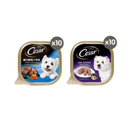 Cesar Makanan Anjing Premium Basah Multivariant 100 gr - Isi 24