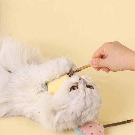 Bioline Catnip Stick snack kucing stick mainan kucing mainan gigit cat nip treats kucing