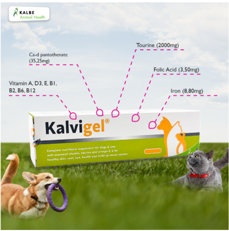 Kalvigel 60 Gram - Vitamin Kucing dan Anjing
