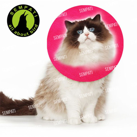 Pet Collar Kain Pelindung Leher Kucing Polos Warna Random Paper Cat Colar Lembut Halus Nyaman