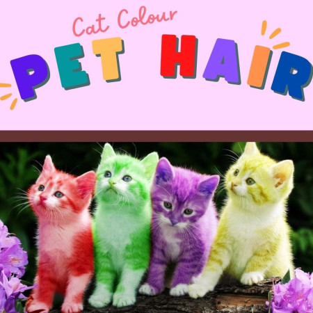 Semir Pewarna Rambut Bulu Hewan Pet Hair Adote Pewarna Kucing