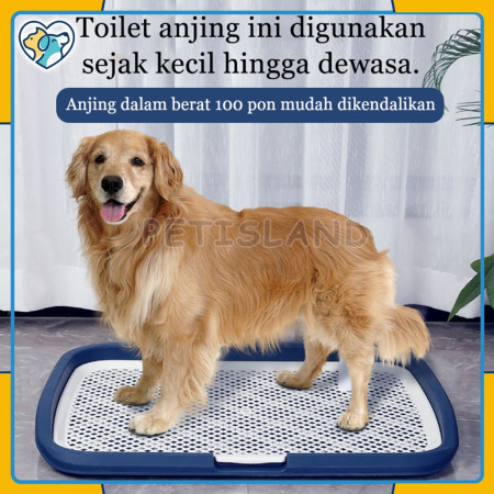 Ukuran Besar Toilet Anjing 65CM*50CM*6.5CM Pet Tray Pee Pad Dog Potty Training