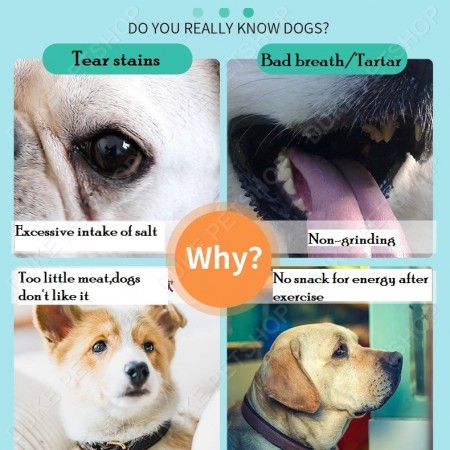 Snack Anjing Treat Stick Cemilan Sehat Dari Daging Segar / Doggy Dog Snack Itadakimasu Dental Stick