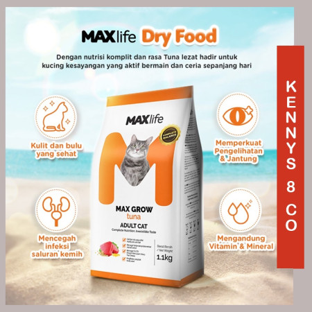 MAXLIFE Dry Cat food 1.1kg Urinary Care Adult Kitten | Makanan kucing kering Mackerel Ocean Fish