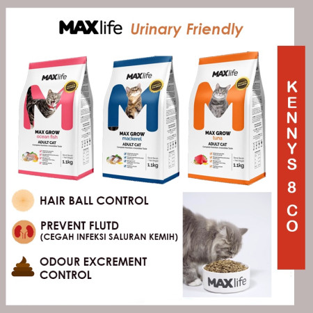 MAXLIFE Dry Cat food 1.1kg Urinary Care Adult Kitten | Makanan kucing kering Mackerel Ocean Fish