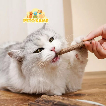 MATABI STICK CATNIP | Per 1 batang | Makanan Snack Kucing Alami Kayu