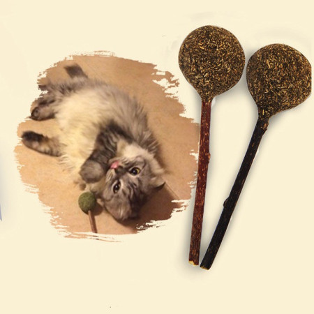 Catnip stick lollipop snack kucing catnip bahan alami mainan cat