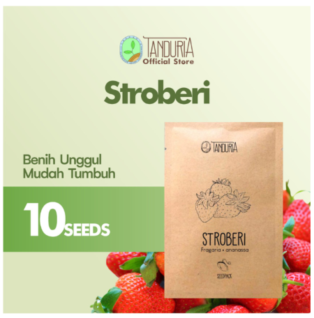 TANDURIA - Benih Super Buah Strawberry Stroberi Bibit Biji Buah Buahan