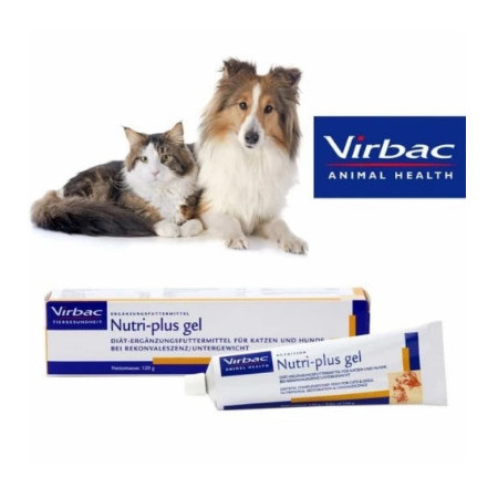 Nutrigel Plus Kucing Anjing Vitamin Anjing Kucing High Quality