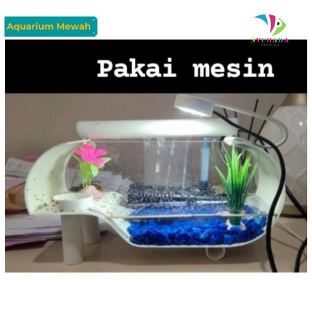 1 Set Aquarium kura kura mini lengkap dengan mesin filter air mancur - Lampu putih, lengkap mewah