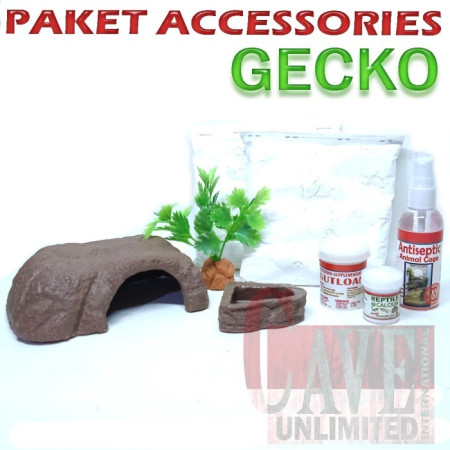Paket Perlengkapan Aksesoris Kandang Vitamin Obat Gecko Tokek