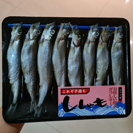Shisamo fish ikan shisamo capelin frozen