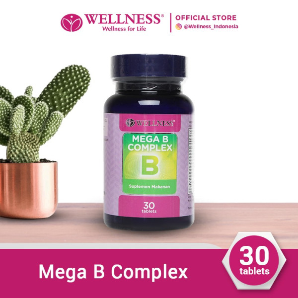 Wellness Mega B Complex [30 Tablets]