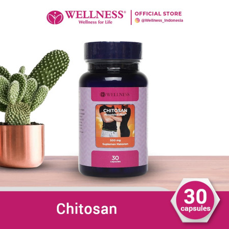 Wellness Chitosan 500 Mg