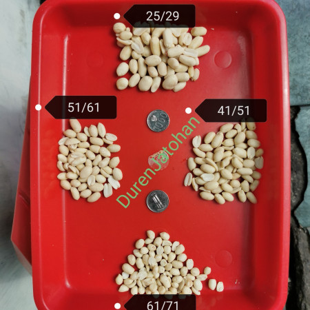 Kacang Tanah Kupas Mentah 61/71 Berat 1kg / 1000gr