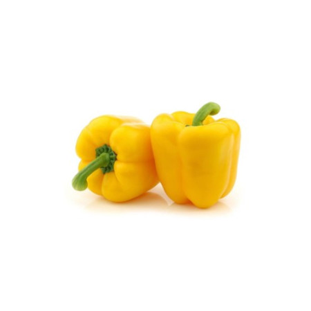 Paprika Kuning