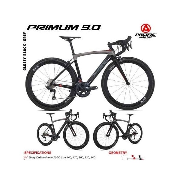 Pacific Primum 9.0 9 Roadbike Carbon Full Ultegra R8000 2x11 Speed