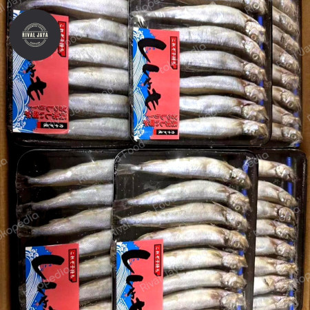 Ikan sishamo caplin 170 gr
