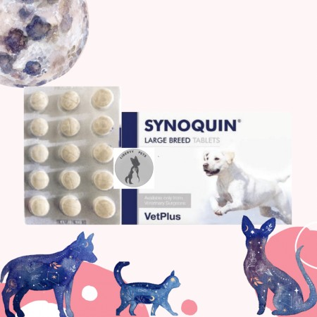 Synoquin Large Breed For Dogs >25kg Suplemen Tulang dan Sendi Anjing (1 Tablet)