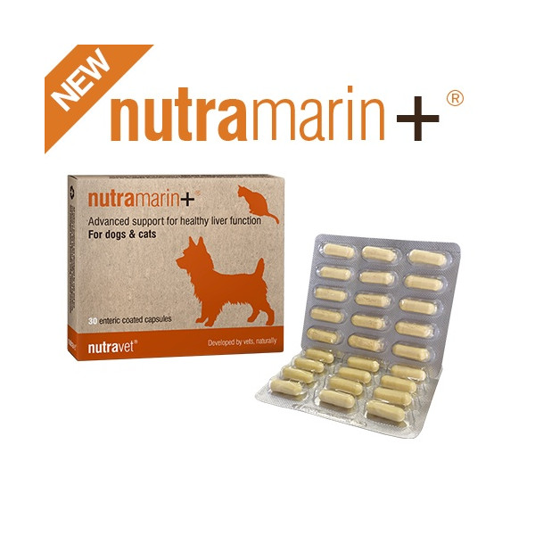 Nutramarin + Obat Gangguan Liver (Hati) untuk Kucing & Anjing / Pengganti Samylin & Zentonil