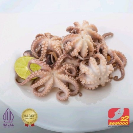 TOP QUALITY / Baby Octopus 500 gram / Gurita Baby / Seafood 22