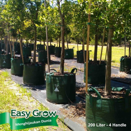 Planter Bag Easy Grow 200 Liter - Hijau