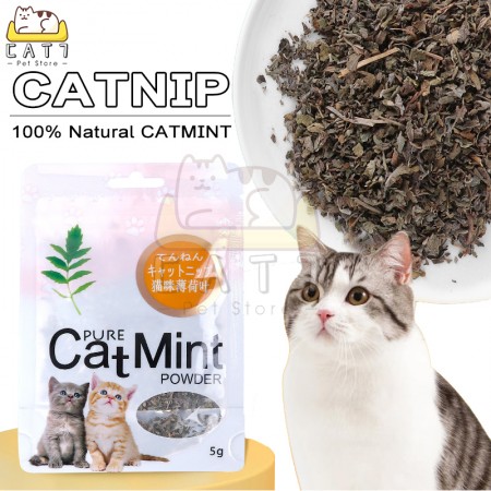 Catnip Catmint