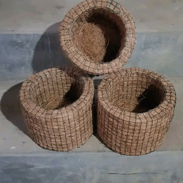 pot anggrek sabut kelapa tempel dinding bulat